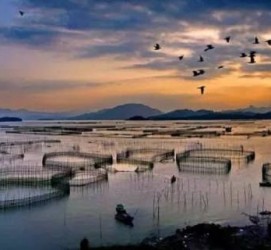 常州伴游中国网景点丰富(旅游网介绍)