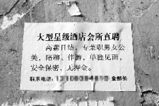 常州珠海伴游雇用网(珠海游览社雇用信息)