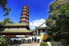 常州广州自由行(广州 自由行)