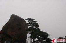 常州上海伴游私家陪游雇用女模(上海伴游私家陪游雇用女模特)