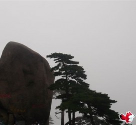 常州上海伴游私家陪游雇用女模(上海伴游私家陪游雇用女模特)