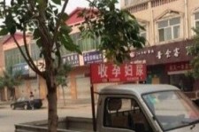 常州上海伴游 用伴游造句大全(5