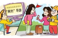 常州伴游是什么