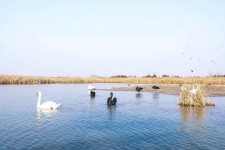 常州南昌附近伴游小妹兼职(1534939978姐的微信德惠市)