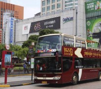 常州上海私人伴游 上海过年怎么玩？这些“微游”线路了解下→