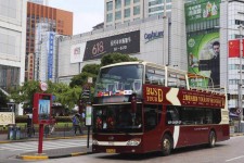 常州上海私人伴游 上海过年怎么玩？这些“微游”线路了解下→