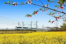 常州高铁游(高铁游戏下载手机版)