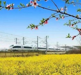 常州高铁游(高铁游戏下载手机版)