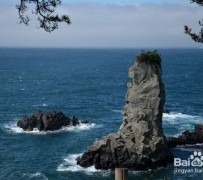 常州旅游全攻略(上海旅游全攻略)