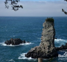 常州旅游全攻略(上海旅游全攻略)