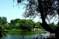 常州西湖旅游攻略(上海到杭州西湖旅游攻略)