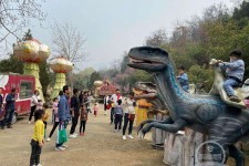 常州中国伴游带你打卡网红南山竹海(南山竹海网上预约)