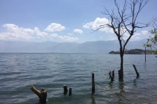 常州洱海旅游攻略(洱海旅游攻略自由行)