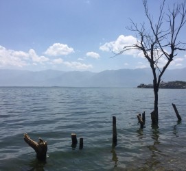 常州洱海旅游攻略(洱海旅游攻略自由行)