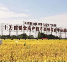 常州关于成都商务伴游外围雇用的信息