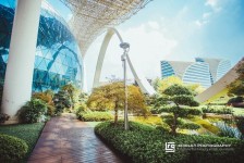 常州杭州外围伴游雇用(杭州外围雇用经纪人)