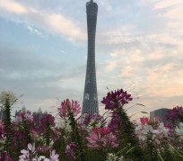 常州广州旅游攻略(杭州到广州旅游攻略)