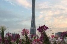 常州广州旅游攻略(杭州到广州旅游攻略)