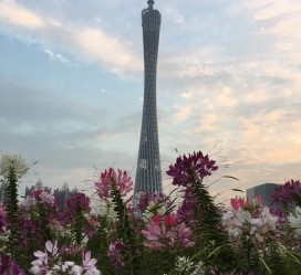 常州广州旅游攻略(杭州到广州旅游攻略)