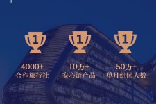 常州上海私人伴游 ​ “小而美”的新时代：2020年国内新跟团消费报告