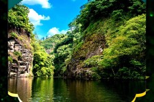 常州旅游报价(旅行团旅游报价)