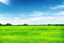 常州上海伴游 上海模特伴游微信号的交友宣言
