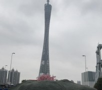 常州广州游玩攻略(广州游玩攻略景点大全免费)