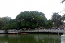 常州福州旅游攻略(福州旅游攻略二日游)