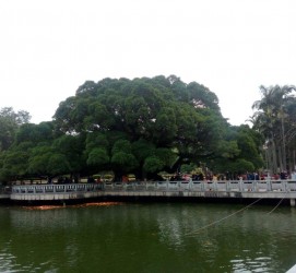 常州福州旅游攻略(福州旅游攻略二日游)