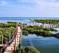常州旅游哪里好玩(云南旅游哪里好玩)
