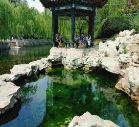 常州济南旅游攻略(青岛威海济南旅游攻略)