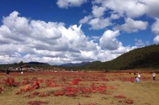 常州旅游去处(暑期最好的旅游去处)