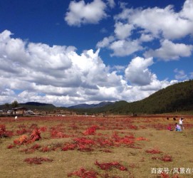 常州旅游去处(暑期最好的旅游去处)