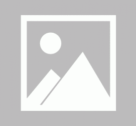常州私人伴游 黄金周里动“黄”经 天津又现“私人陪游”逆流
